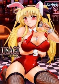 USAGI