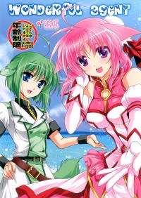 Wonderful Agent
